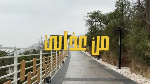 علل الدمعة العنيدة ✨🤍 #طلال_مداح #طلاليات_الفن_الاصيل #هواجيس #explore 