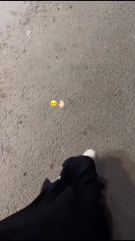 مايصير ياحلو الوصايف😢#جازان 