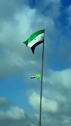 يبقى علمنا عالي 😎😎 #سوريا🇸🇾  #دمشق 