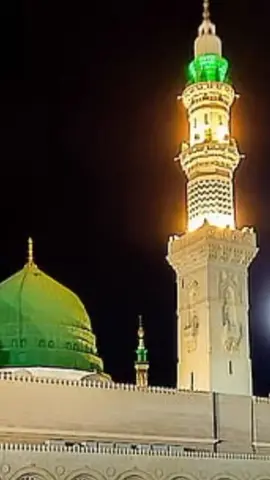 #creatorsearchinsights 