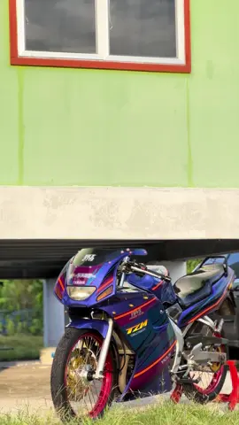 #thailookstyle🇹🇭 #CapCut #tzmthailook #tzm150malaysia 