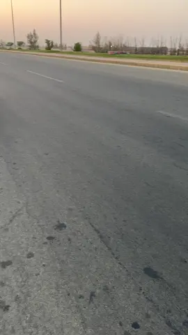 زي الارنب بتسد فمك😂🤣. #طبرجل #افالون #افالون2022 #افالون_اسود #الملكه 