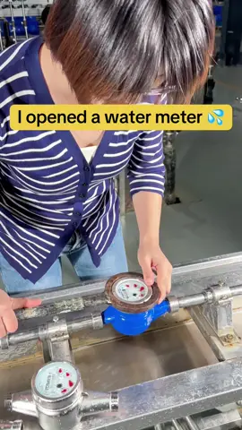 I opened a water meter So you don’t have to!⚒️(what’s inside?)💦#watermeter #smartwatermeter #savemoney #foryou #lifehaks 