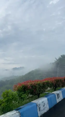 #tulungagung24jam #wonorejo #fyppppppppppppppppppppppp #aesthetic 