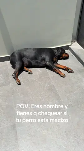 Daemon si está macizo