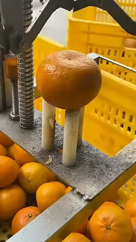 #quran  #alquran  #quranrecitation  #recitationofquran  #recitation_of_the_quran 