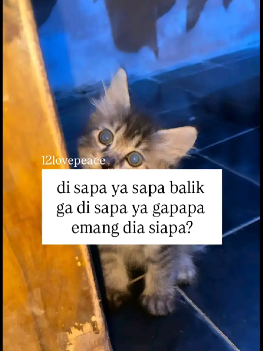 #rameinguyss😉 #likeeeeeeeeee🤘 #4u #rameinatuhsayangg🥰 #likedongbeb🥰 