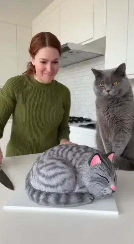 😡😡 . . #cat #cstlover #trendingvideo #viraltiktok #foryoupage 