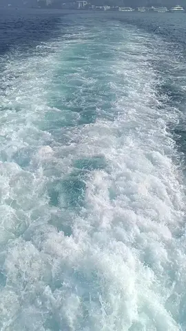 #زوجي #حياتي #وكل #دنيتي #CapCut 