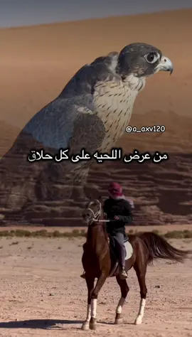 #أكسبلور_شعر_حكم_خواطر 