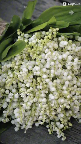 #năng lượng tích cực