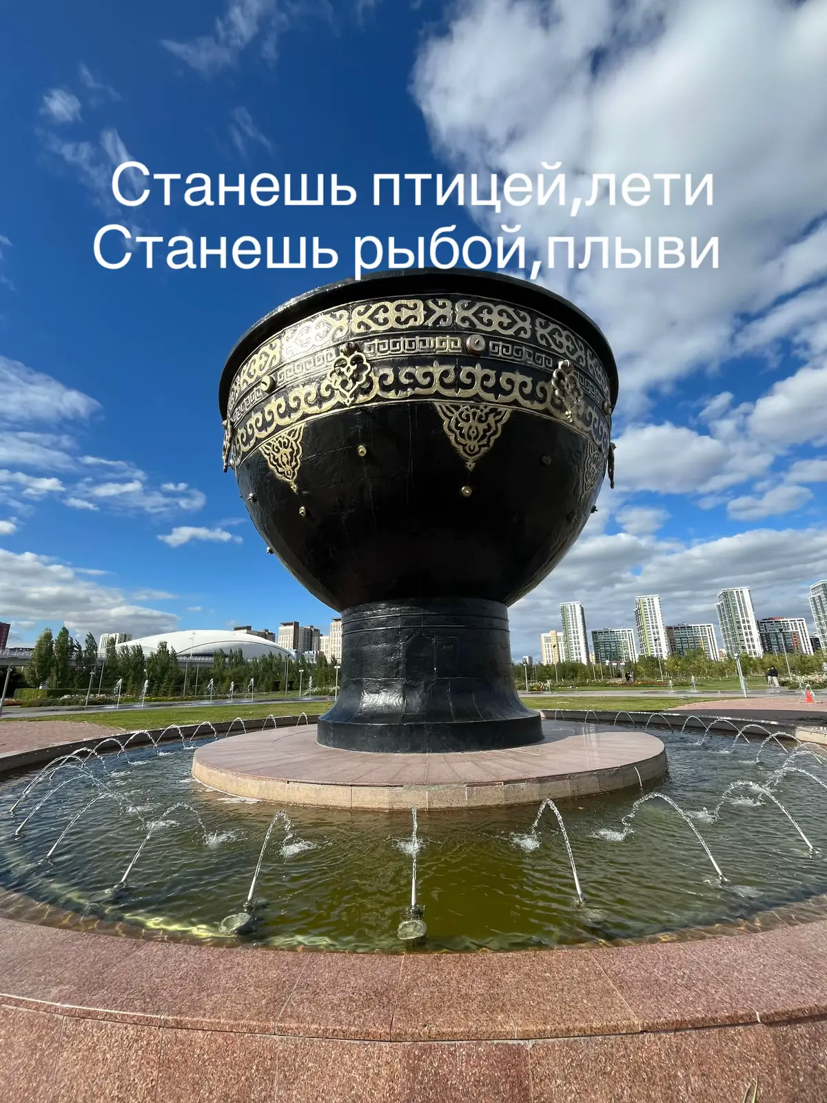 #clash #Royale #royalehigh #clashroyale 24 arena 🤫