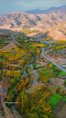 سروشتی جوان و ڕازاوەی پایزی گوندی کەوبێن