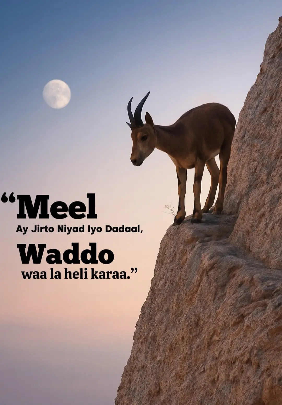 Marka ay niyad jirto oo aad rabto inaad gaarto meel, caqabado kasta ma noqonayaan kuwo ku joojiya. Dadaalka, samirka, iyo rumaysadka naftaada ayaa ah furaha guusha. Dunida kama jirto wax sahlan, balse qof kasta oo go’aan adag yeesha wuu heli karaa waddada uu ku gaaro riyadiisa. Ha oggolaan cabsi, daal, ama niyad-jab inay kaa leexiyaan jidka saxda ah. Mar kasta xasuuso: guusha waxaa leh kuwa aan quusan, xitaa marka ay u muuqato in waddadu adag tahay. Niyaddu waa tamarta ugu weyn ee qofka – marka aad rumaysato in aad awooddo, waxaad hore u qaaday tallaabada ugu muhiimsan ee guusha. ✨💪