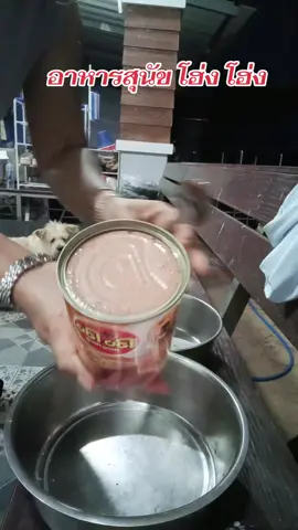 อาหารสุนัข#อาหารสุนัข #อาหารสุนัขเปียก #อาหารสุนัขโฮ่งโฮ่ง #อาหารสัตว์ #ทาสหมา 