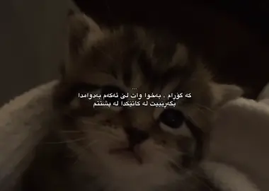 کە گۆڕام#foryou #foryoupage #fyp #d3355.a