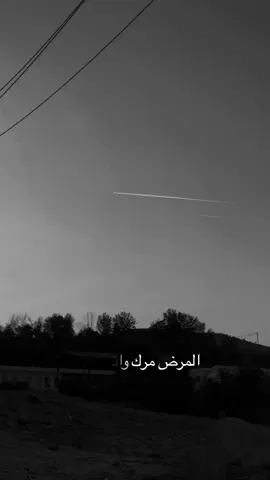 #بدر_الشمري #طلال_العارف #تصميم_فيديوهات🎶🎤🎬تصميمي🔥 #تصويري_احترافي_الاجواء👌🏻🕊😴 