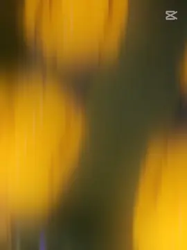 #💫💖🎮 #🤟🤟🤟🤟 