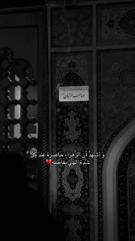 #اعاده_نشر #سيد_فاقد_الموسوي__ #امجد_الشغانبي #مجتبى_الكعبي #سيدسلام_الحسيني 