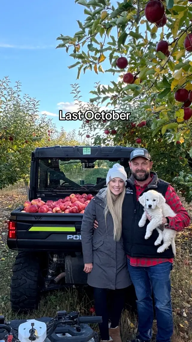 My babbbbbyyyyyy #goldenretriever #northernmichigan #fyp 