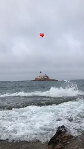 #الشعب_الصيني_ماله_حل😂😂😂😂😂 