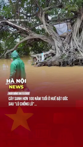 NGƯỜI DÂN KHÔNG KHỎI BÀNG HOÀNG 😢 #theanh28 #hanoinews #tiktoknews 
