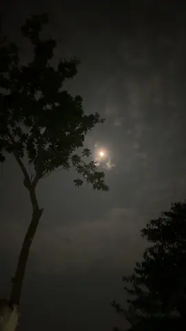 ভাবি তুমি আসবে ফিরে, ধরবে হাতগুলো ! 😅❤️‍🩹 #foryou #foryoupage #edit #viral #kaiummahamudminar @TikTok Bangladesh 