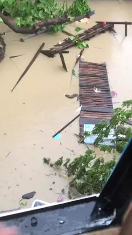 Reticulated Python Came out due to Typhoon Tino Flooding #fyp #bagyongtino #typhoontino #typhoonodette #typhoon 