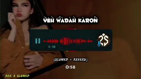 New Saraiki Full Song 2025 Slowed Amd Reverb 🫀🎧☠️✨#slowedsongs #trending #foryou #newsong #saraikisong 