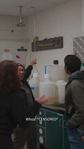 It's #garweek ! We're celebrating our favorite prehistoric fish at the Bell Museum, with highlights in our scientific collections and exhibits. Check out @thegarlab, @okwildlifedept and others for more content, as #garweek goes global! Video Description: Bell Museum Fish Curator Dr. Kassandra Ford stands in a brightly lit lab. She is holding small glass vials that are sealed. The vials contain small gar, no more than six inches long. Dr. Ford explains the technique used to seal the gar in the tubes, as the camera zooms in on the brown scales and wide eyes of the preserved fish.