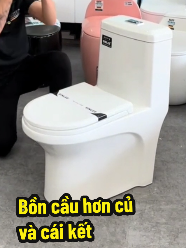 chỉ có em bó mơi làm được việc này bền đẹp rẻ #boncaugiare #giadungsilin #xaynha #nhamoi #phongthuynhao 