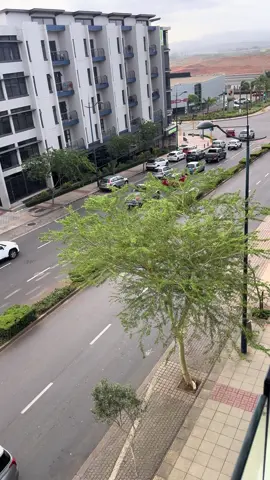 There is no plan B📊💯 #forex #profit #fyp 