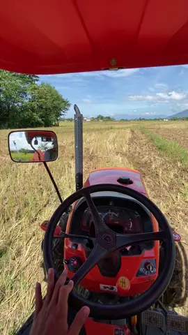 #highlight #bukidislife #Kobuta4018 #kobutar_lover 