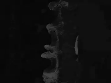 اشرحلك ب دمعتي💔 #باسم_الكربلائي #💔 