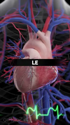 Esto es lo que le pasaría a tu cuerpo si comes coca cola todos los días durante 2 semanas #comidasaludable #consejosdesalud #cocacola #alimentosdañinos #salud