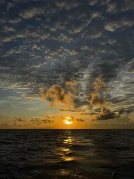 #tamtrang#camxucmoingay 