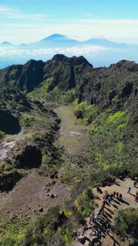Makhluk sekecil ini berhasil sampe ke puncak rajawali🥹 #sumbingmountain 