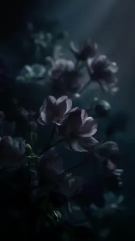 ما تبوح به عند الفضفضة، ستدفع ثمنه عند الخلاف 👌🏻❤️‍🩹🥀