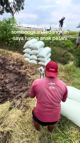 Sobone gur neng sawah ☺️🌾#gabahbalap🌾 #bledukbanget #gabah #beras #berasbalap #masukberanda #fyp #fyppppppppppppppppppppppp #yogibalaputragabah 