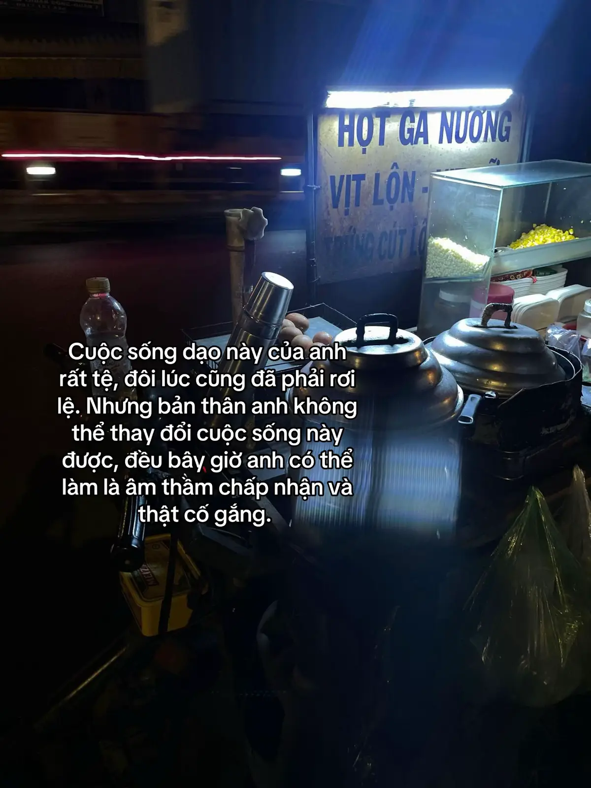 #fyp #xuhuong #trantienanh🧸 