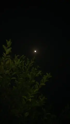 چاند سے میری محبت کوئی عام جذبہ نہیں، یہ ایک جنون ہے، ایک درد ہے جو ہر رات میرے سینے میں جاگتا ہے۔ جب چاند گھٹنے لگتا ہے، تو مجھے لگتا ہے جیسے کوئی میرے اندر سے روشنی نوچ رہا ہو۔ میرے دل کے زخم اس کی کمی کے ساتھ تازہ ہونے لگتے ہیں، اور ہر رات تھوڑی اور بھاری ہو جاتی ہے۔ مجھے محسوس ہوتا ہے جیسے چاند نہیں، میرا کوئی اپنا بچھڑ رہا ہے — آہستہ آہستہ، خاموشی سے، چھوڑ کر جا رہا ہے مجھے اندھیروں کے حوالے۔ میں اس کے پورا ہونے کا انتظار کرتا ہوں، مگر وہ انتظار چند راتوں کا نہیں لگتا — یوں لگتا ہے جیسے صدیاں بیت جائیں گی اور شاید وہ کبھی پورا نہ ہو، بالکل میری طرح…@احمد🌸 