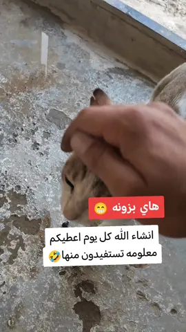 #الشعب_الصيني_ماله_حل😂😂🙋🏻‍♂️ #لايك_متابعه_حركة_الاكسبلور 