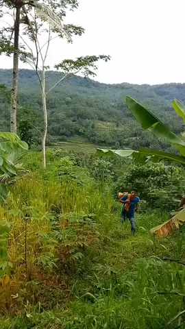 terlalu lama mengembara😁#bismilahfyp 