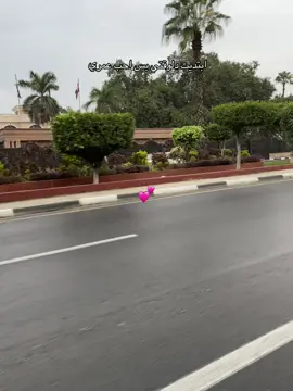 #foryoupage #viral #trend #explore #ام_كلثوم_مصر 