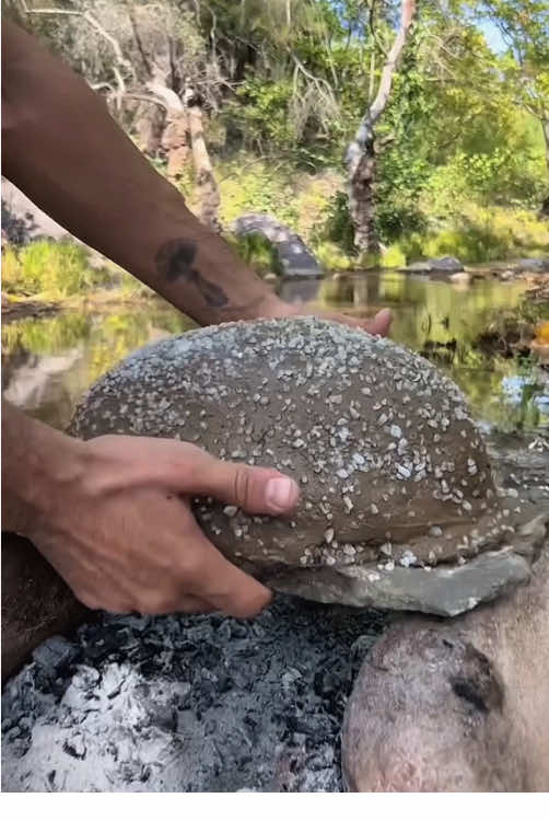 Cooking chicken in salt stone 🐓🔥💦🪵 #cookingasmr #leon #outdoorcooking #chicken #cookingnature 