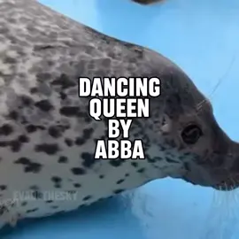dancing queen by abba seal music video for @cheeese  #seal #sealtok #abba #dancingqueen #mamamia 