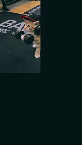 #اكسبلورexplore #الشعب_الصيني_ماله_حل😂😂 