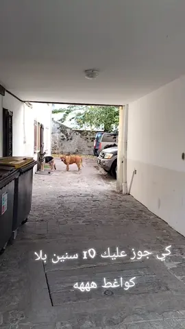 #2million #ghorba🗼🇫🇷👻🇪🇺🇪🇸🇹🇳🇩🇿🇹🇳🇩🇿 #شعب_الصيني_ماله_حل😂😂 #py #ghorba🗼🇫🇷👻🇪🇺🇪🇸 