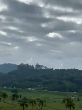 🫀#Salsa #salsabaul #salsaromantica #salsaparadedicar #salsaparaestados 