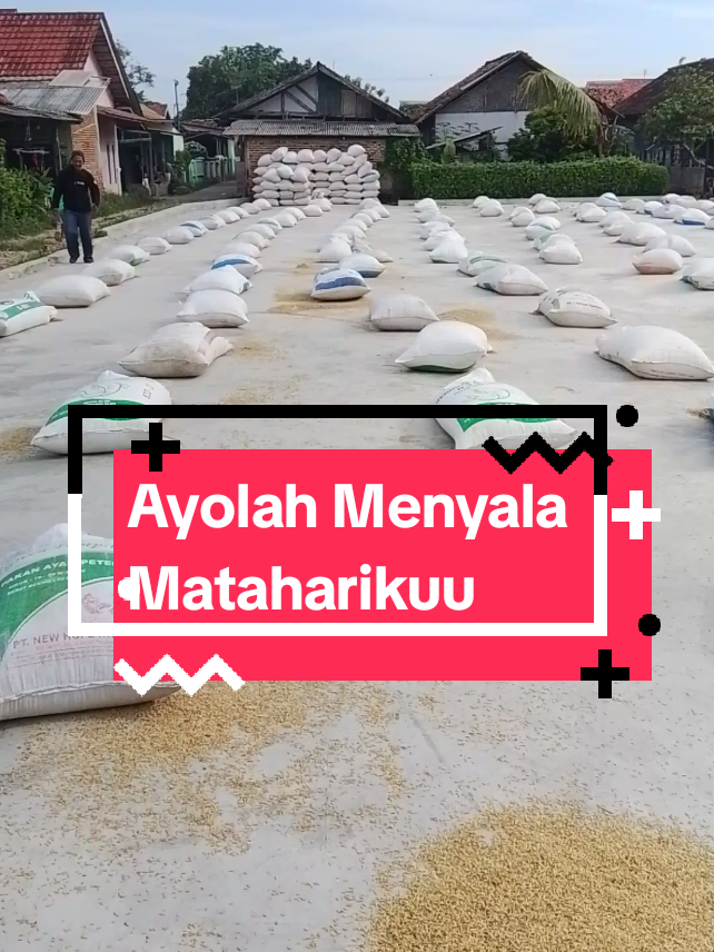 keluar berapa kira-kira boloo #fyppppppppppppppppppppppp #fyptiktok #bosmuda😎 #muda #pengusahamuda 